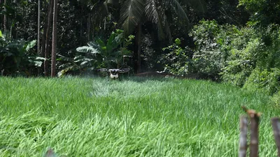 O agronegócio brasileiro descobriu os drones — e não tem mais volta