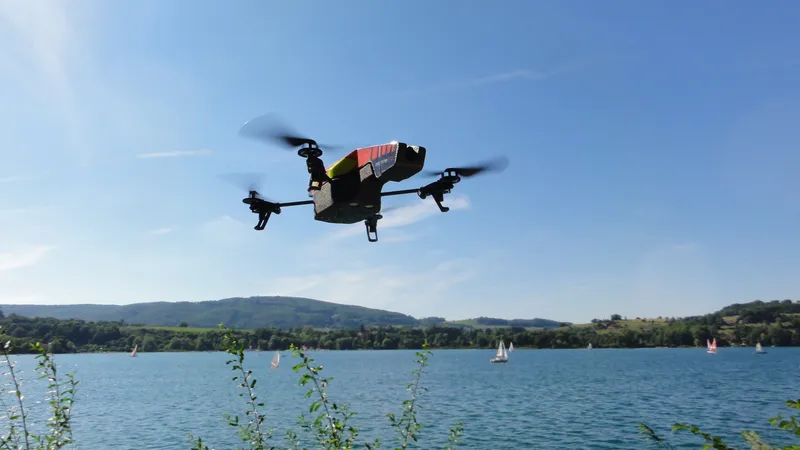 A Portela voou — literalmente — e a ANAC não achou graça